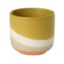 Colorway Pot – Yellow – 4″